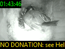 01:43:46