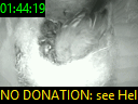 01:44:19