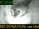01:55:02