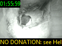 01:55:59