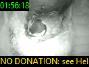 01:56:18