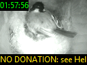 01:57:56