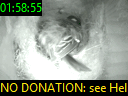 01:58:55
