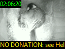 02:06:20
