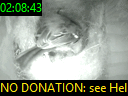 02:08:43