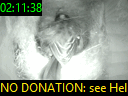 02:11:38