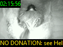02:15:56