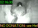 02:16:30