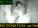 02:17:01