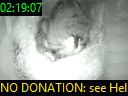 02:19:07