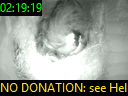 02:19:19