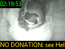 02:19:53