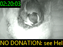 02:20:03