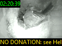 02:20:39
