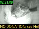 02:21:09