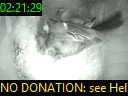 02:21:29