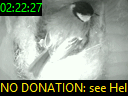 02:22:27