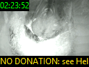 02:23:52