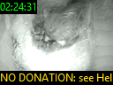 02:24:31