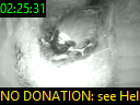 02:25:31