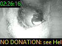 02:26:16