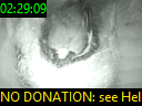 02:29:09