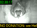 02:30:17