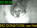 02:30:36