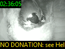 02:36:05