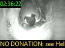 02:36:22