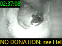 02:37:08