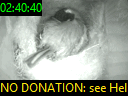 02:40:40