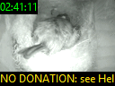 02:41:11