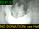 02:41:52