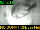 02:42:13