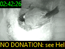 02:42:26