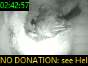 02:42:57