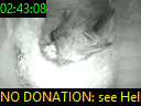 02:43:08