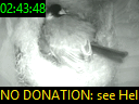 02:43:48