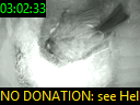 03:02:33