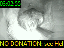 03:02:55