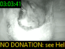 03:03:41