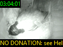 03:04:01