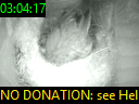 03:04:17