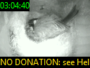 03:04:40