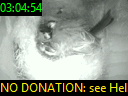 03:04:54