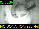 03:05:36
