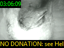 03:06:09