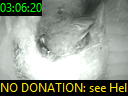 03:06:20