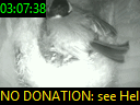 03:07:38